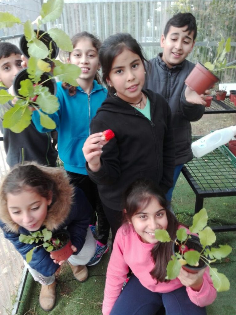 בית ספר המגנים בגינה שהקימו במסגרת תכנית גלוב צילום דוברות עיריית חולון