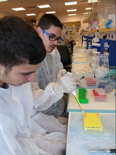 תלמידי תיכון חדש בפרויקט חקר בביולוגיה. צילום עיריית חולון
